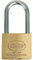 Amig - Candado de seguridad - Incluye 2 llaves - Arco largo - Latón y arco de Acero tratado - Para taquillas de gimnasio, puertas, armarios, maletas, mochilas - Doble cierre - Ancho: 50 mm