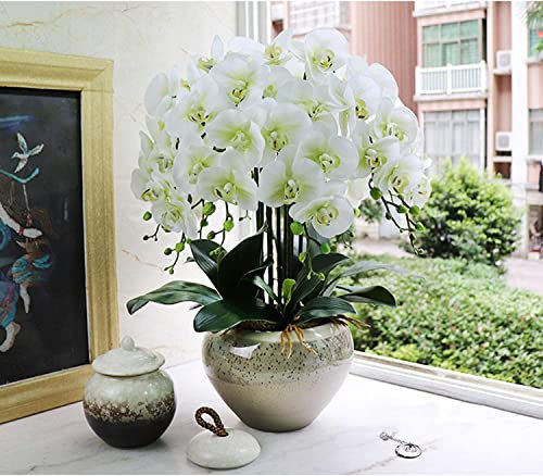 HRTC 10 künstliche Phalaenopsis-Blumen, einzigartige, stilvolle künstliche Orchideen mit Porzellan-Blumentopf, künstliche Blumen, dekorative Orchidee