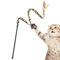 Lunaobrik Serbische Katze interaktives Katzenspielzeug mit Federn interaktiv mit | Funny Leopard Pattern Kitten Teaser, Katzenspielzeug mit Federn