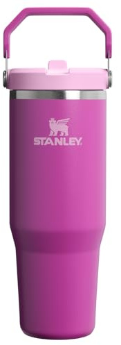 STANLEY Classic IceFlow Stainless Steel Tumbler with Straw, Vacuum Insulated Water Bottle for Home, Office or Car, Reusable Cup with Straw Leakproof