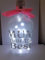 Mum light up frosted bottle