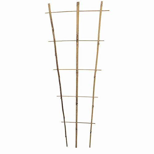 Siena Garden Treillis en Bambou 110 cm Naturel