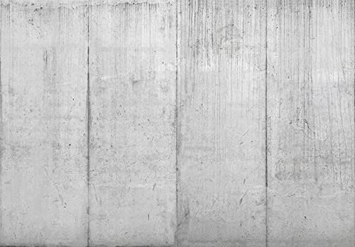 WallArena Fototapete Betonwand Beton Betonoptik Loft Wohnzimmer Schlafzimmer Wandtapete Vlies Tapete UV-Beständig Geruchsfrei Montagefertig (13991, V8 (368x254 cm) 4 Bahnen)