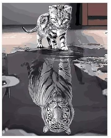 Reflexionstiger der Katze Malen nach Zahlen für Erwachsene,DIY Handgemalt Ölgemälde-Set auf Leinwand mit Pinseln und Acrylpigment für Kinder Anfänger Kunst für Heimdekor Geschenk mit Rahmen,40x60cm