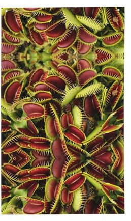 Frühlingsflagge mit fleischfressenden Pflanzen, 90 x 150 cm, farbecht, für drinnen und draußen, für Garten, Haus, Heimdekoration