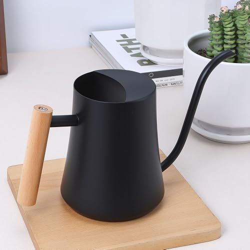 YHNDECO 1000ml Schwarz Gießkanne Klein Zimmerpflanzen, Mini Gießkanne, Edelstahl Langer Auslauf Giesskanne, Garten Gießkanne für Zimmerpflanzen Sukkulenten