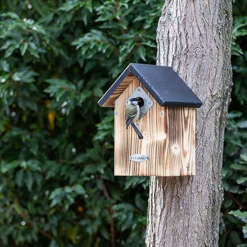 CJ Wildlife Nistkasten – Vogelnistkasten für draußen mit Räuberschutz – 34 mm Einflugloch für Haussperlinge – FSC Holz, geflammt, mit schrägdach