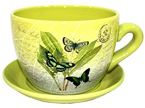 Gr8 Garden Decorative Novelty Terracotta Tea Cup and Saucer Shaped Garden Patio Flower Planter Plant Pot Tub (Large Green Butterfly Leaf)