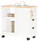 SoBuy FBT130-WN Druckertisch mit Rollen Druckerständer Druckerschrank Aktenschrank Rollcontainer mit Fächern Bürowagen Beistellwagen Bürocontainer Weiß-Natur BHT ca. 30x60x60cm