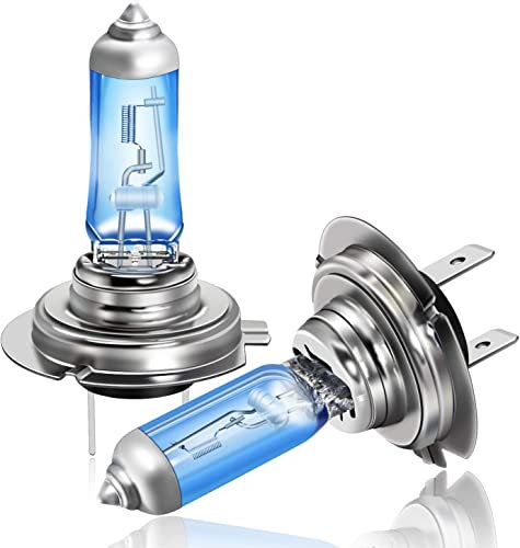 DZG H7 Px26d Halogenlampen 12V 55W Scheinwerferlampen 5000K Warmweiß Nebelleuchte DRL Birne, 2 Stücke
