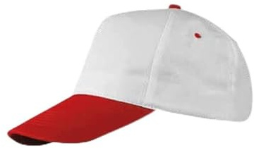 10 Cappelli Personalizzati Stampa Logo A Colori con Chiusura in Regolabile Colore Visiera A Scelta