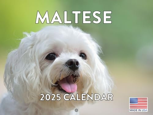 Malteserkalender 2025 Hunderasse, Monats-Wandkalender, 12 Monate, hergestellt in den USA