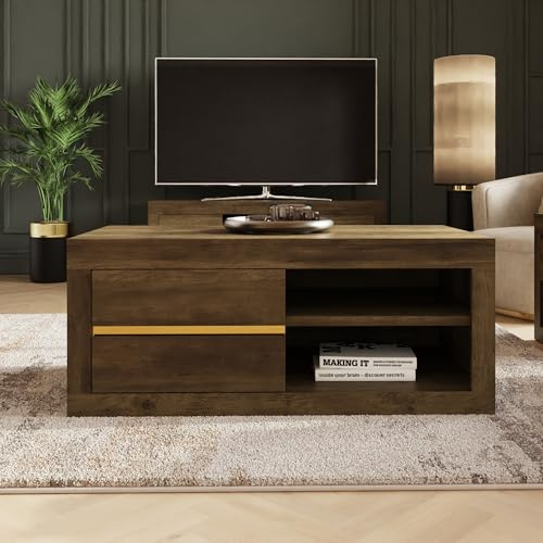 GFW Astley Coffee Table with 2 Drawers and Open Shelf, Knotty Oak Effect Living Room Table with Gold Accent Detail, Modern Storage Coffee Table