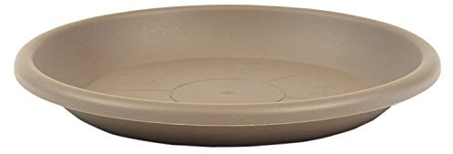 greemotion Blumentopfuntersetzer Taupe - Untersetzer Blumen mit 19 cm Durchmesser Höhe 2,4 cm - Pflanzkübel Untersetzer aus Kunststoff - Pflanzenuntersetzer rund - Pflanzen Untertopf
