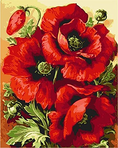 ABEUTY Peinture par numéros à faire soi-même pour adultes débutants – Gros coquelicots fleurs 40,6 x 50,8 cm Peinture numéro (sans cadre)