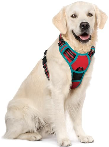 rabbitgoo Dog Harness Large Dog, No Pull Vest with Front Clip & Handle | No Choke, Adjustable, Breathable Padded, 2 Lead Rings, Reflective, Easy Control for Walking Training, XL, Red & Teal