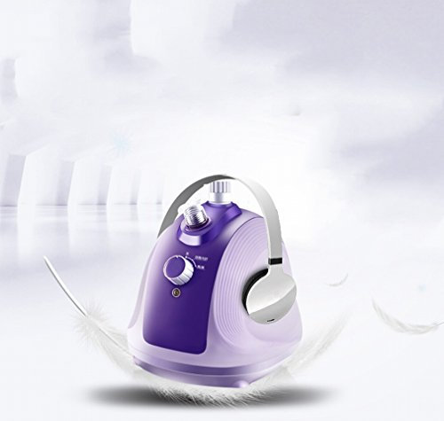 VF Casa a Vapore Domestico a Caldo Mini Casa con Ferro da Stiro Ferro da Stiro Comodo Ferro da Stiro,Viola,292 * 255 * 295MM