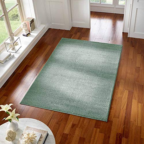 Taracarpet Teppich Kurzflor modern für Wohnzimmer Schlafzimmer und das Kinderzimmer super weich und Öko Tex Zertifiziert Mint grün 140x200 cm