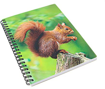 3D Notizbuch - Eichhörnchen - groß