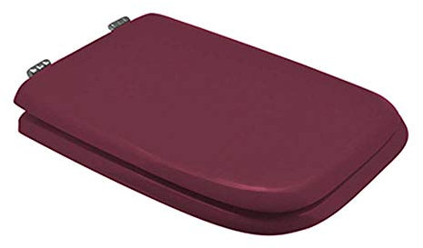 Dianhydro Toilet Seat Cover for Ideal Standard Vase Conca Color Kashmire