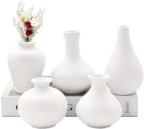 Mini Vasen Set Keramik Weiß 5er Kleine Vasen für Tischdeko Mini Porzellan Vase Keramik Vase Weiss Matt Moderne Deko Vase Weiß für Blumen Pampasgras Wohnzimmer Eingangs und Tisch Dekoration