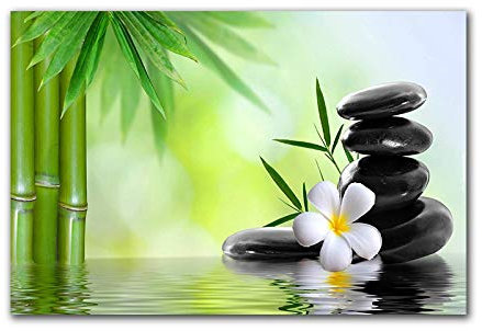 STUKE Decoration Murale Chambre Moderne Zen vert bambou noir pierre sur toile peinture peintures Murale art Poster et Tableau canapé fond Decoration à la maison 30x40cm Sans Cadre