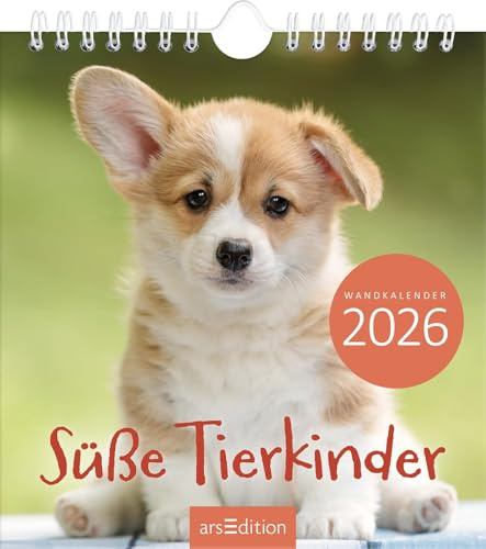 Wandkalender Süße Tierkinder 2026: Monatskalender 2026, mit 12 heraustrennbaren Postkarten Tierfreunde