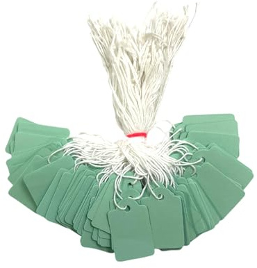 Pack of 100 Medium Pastel Green Strung Tags Price Tickets 25 x 39mm