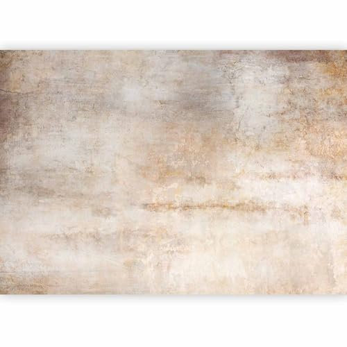 murando - Papier peint panoramique artistique 450x315 cm - Revêtement mural décoration pour chambre salon cuisine - Design unique et moderne - Marron gris beige - f-A-10084-a-a