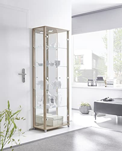 möbelando Vitrine Glasvitrine Standvitrine Vitrinenschrank Berlin V Noce