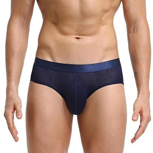 Hommes Slips sous-vêtements Glace Soie Pure Maille Transparente Slips Shorts Sexy Taille Basse caleçons Slips Hommes 2022