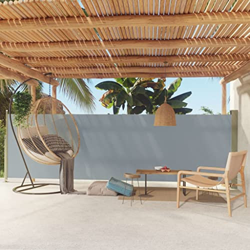 puraday Toldo lateral extensible, 160 x 500 cm, color gris, protección visual para terraza, balcón, pared lateral, elegante toldo lateral, protección contra el viento y el sol, protección visual y