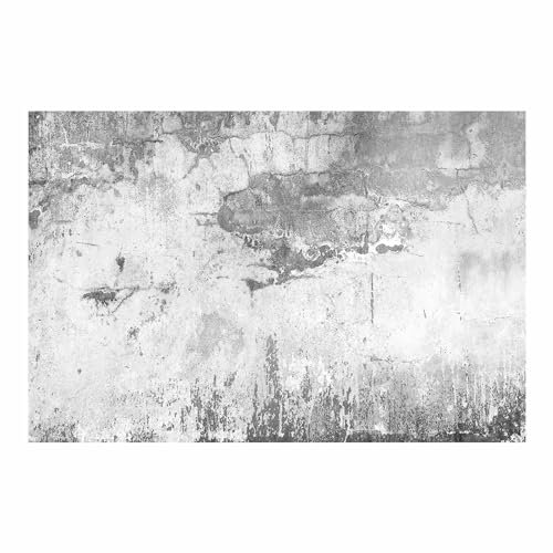 Bilderwelten Fototapete Modern 255cm x 384cm Beton-Optik Grau Steintapete Betontapete Vliestapete Tapete Wanddeko Ideen Wohnzimmer Schlafzimmer Küche