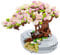 MEIEST Mini Building Blocks Sakura Plant Bonsai Model Set,Creative DIY Simulation Cherry Blossom Flower Botanical Collection Construction Building Bricks Toy for Kids Adult Home Decor