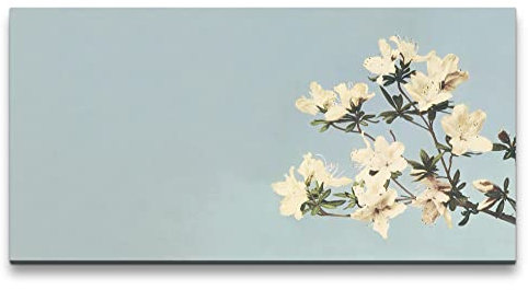 Paul Sinus Remaster 120x60cm Ogawa Kazumasa berühmte Fotografie Blüten Frühling Wunderschön