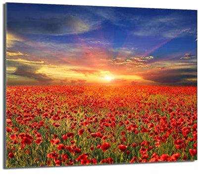 Herdabdeckplatte 60x52 Einteilig Glas Elektroherd Induktion Herdschutz Spritzschutz Glasplatte Deko Schneidebrett, Landschaft Mohnblumen