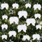 10pcs White Vintage Feather Hanging Angel Wings Christmas Tree Wedding Decorations