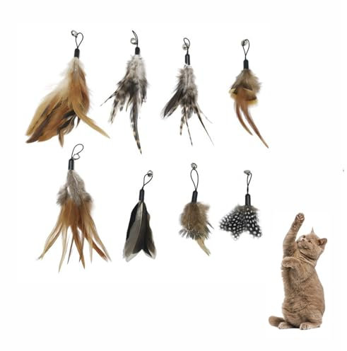 Hyxodjy Katzenspielzeug 8 Stück Federspielzeug Set für Katzen und Kätzchen