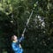 Garden Gear 12V 2-in-1 Telescopic Chainsaw Handheld Cordless Mini Pole Saw, 2.0Ah Lithium-Ion Battery, 60-Min Runtime, Fast Charge, Lightweight & Ergonomic (12V Telescopic Chainsaw)