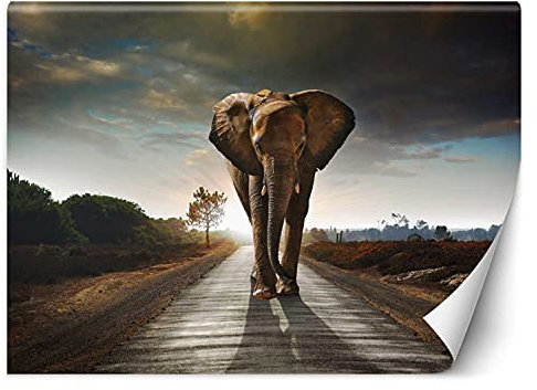 Feeby Fototapete XXL Elefant Auf Der Straße Afrika 100x70 cm Braun Vliestapete Moderne Design Wandtapete Küche Flur Wohnzimmer Büro Badezimmer Kinderzimmer Tier Natur Abstrakt