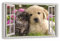 HUBDECO Leinwandbild Fensterblick Hund Katze Bild 120x80 cm - Landschaftsbilder auf Leinwand - Wandbilder Wohnzimmer - Bild Fenster mit Ausblick - Aesthetic Room Decor - Wanddeko Schlafzimmer
