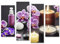 islandburner Bild auf Leinwand Spa Beauty Artikel Tisch Massage Steine Ätherische Öle Salz Schönheitssalon Bilder Wandbilder Poster JEKU-4erP