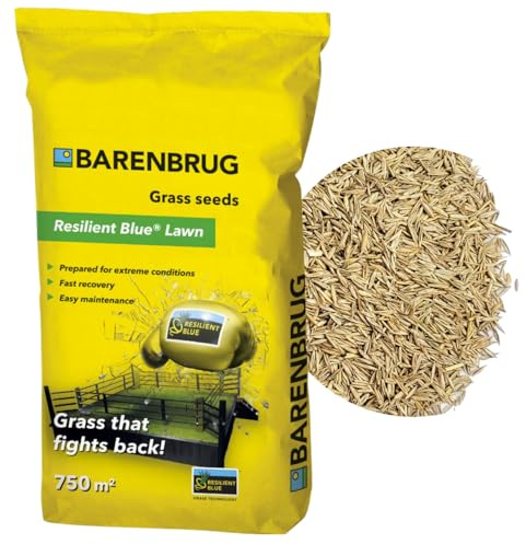 Barenbrug Resilient Blue 15 kg – Gazon Robuste, RÉSISTANT AUX Rayures !