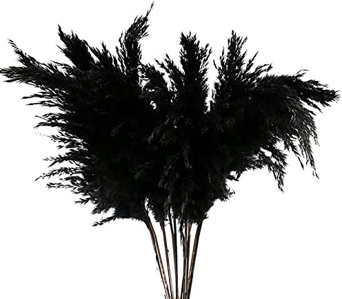 Panonw Künstliche Pampasgras Dekor, 40,6 cm hoch, künstliche Schilfrohr, Pampasgras, Zweige, gefälschte Schilfrohrgras, Pflanzen für Zuhause, Küche, Hochzeit, Party, 5 Stück (schwarz)
