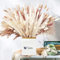 58Stück Pampasgras Getrocknet Natürliche weiß Trockenblumen Deko DIY Trockene Blüten Strauß,Pampasgras-Bouquet Schilfblume Deko Ideal for Boho Wohnzimmer-Schlafzimmer-und Vasen