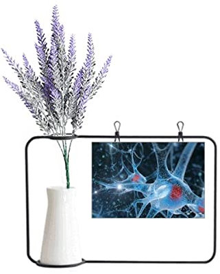 no/no Brain Cell Picture Details Pattern Artificial Lavender Flower Vase Bottle Card