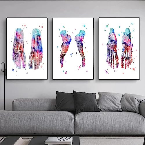 MHLCMG Leinwand Malerei Bunt Abstrakte Fußknochen Anatomie Bilder Wandkunst Modernes Poster Kunstdruck Bild Wand Wohnzimmer Schlafzimmer Dekor Kein Rahmen (3X20X30CM)