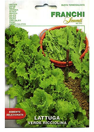 SEMENTI DI ORTAGGI DI QUALITA' PER USO HOBBYSTICO IN BUSTINA TERMOSALDATA (LATTUGA VERDE RICCIOLINA)