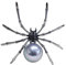 Zonster Femmes Animal Broche Broche Pins Steampunk Bijoux Clair Crystal Pearl Spider Broche Fête Fête Dames Art Pins