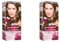 Garnier Color Sensation - Tinte Permanente Rubio Oscuro 6.0, disponible en más de 20 tonos (Paquete de 2)